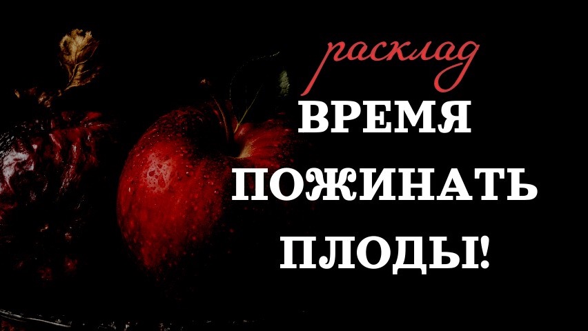 🍎ВРЕМЯ ПОЖИНАТЬ ПЛОДЫ🍎