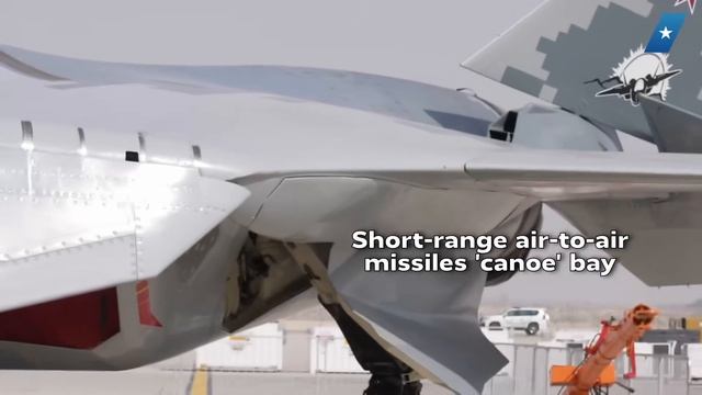 Close Look At Russia's Su-57 At The Dubai Airshow