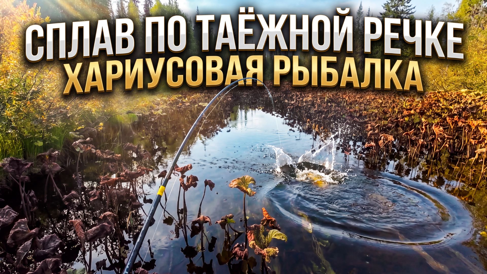 Это что-то! Хариус клюёт прямо под ногами. Сплав по таёжной речке.