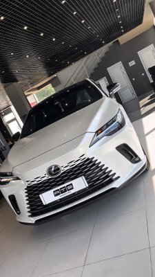 Lexus RX - Доводчики дверей