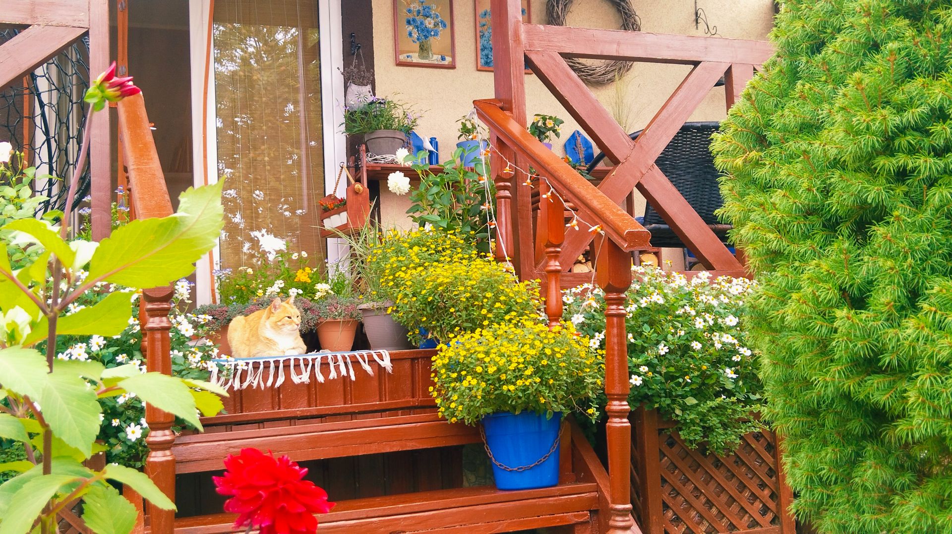 Наш уголок в этом мире 🌿 Сезон дождей, простая жизнь и обед на террасе