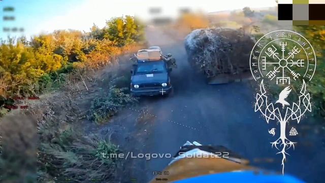 Свинорез с окраин Дружковки