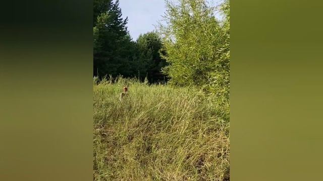 прощай Лето и как я его провела