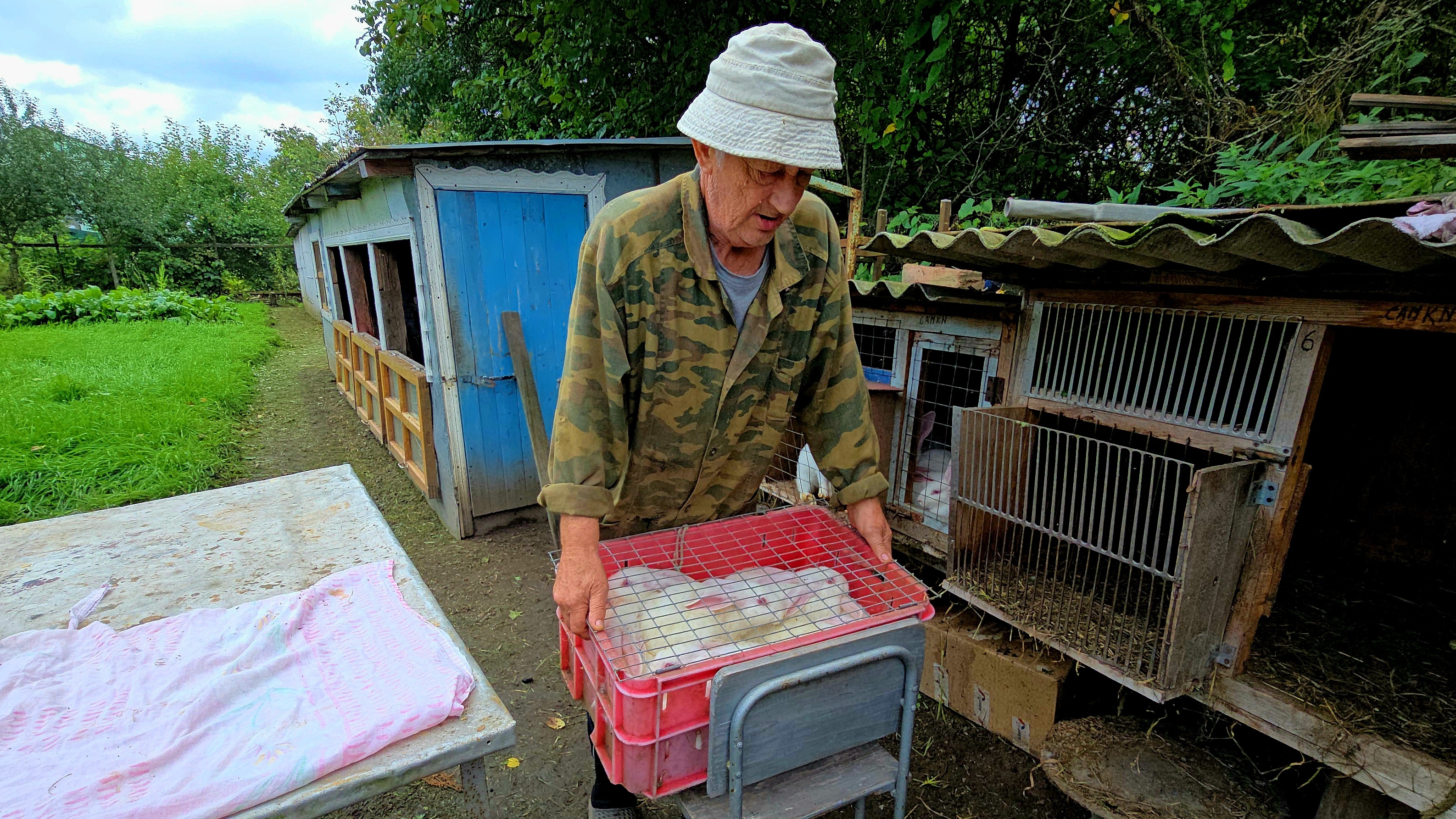Сельское хозяйство