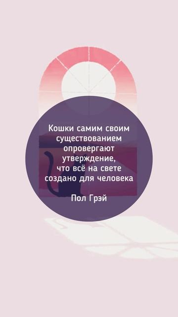 Shorts: цитаты о важном