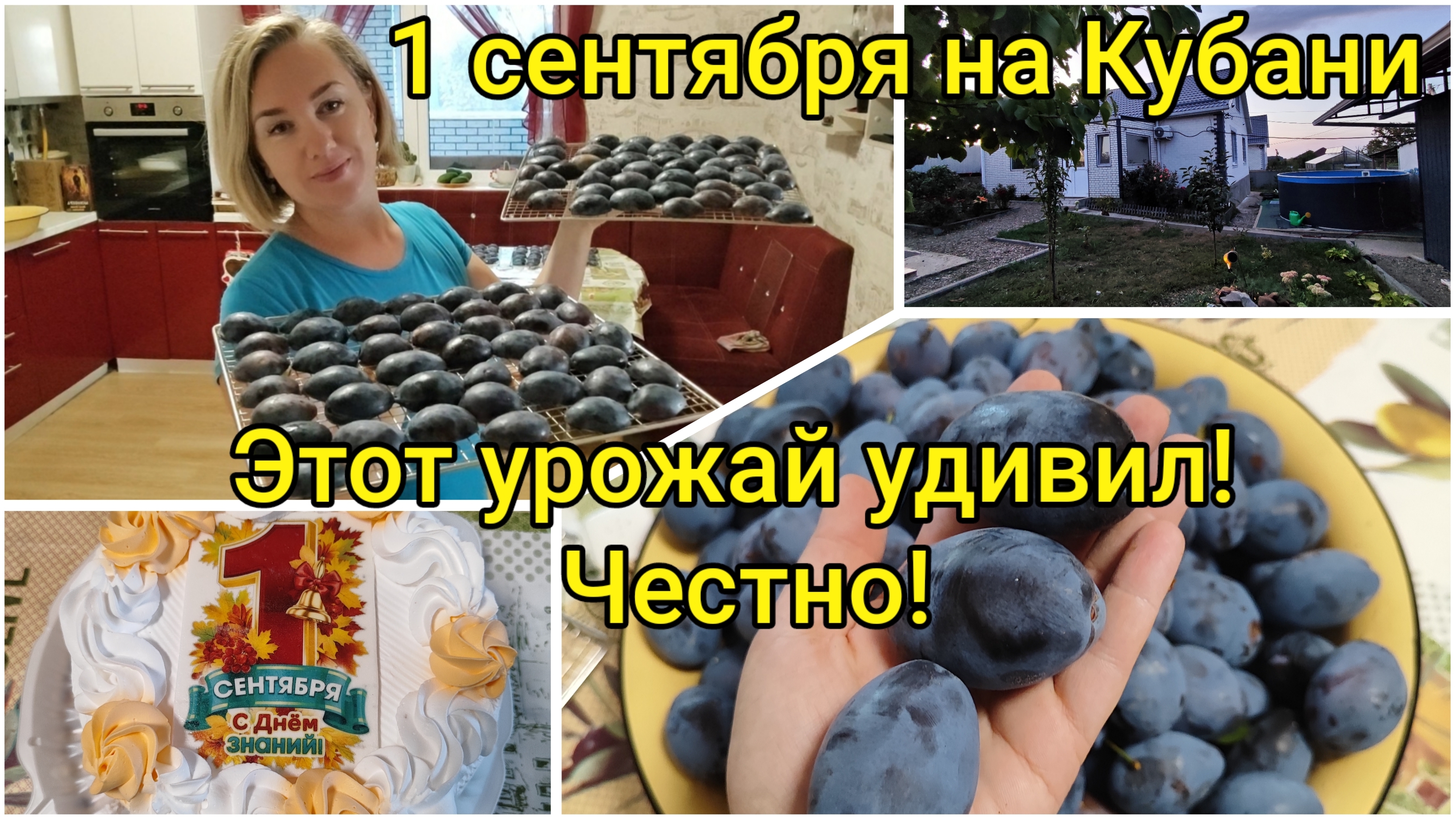 Как прошло 1 сентября на Кубани 🎈 Этот урожай нас удивил! Честно 🔥