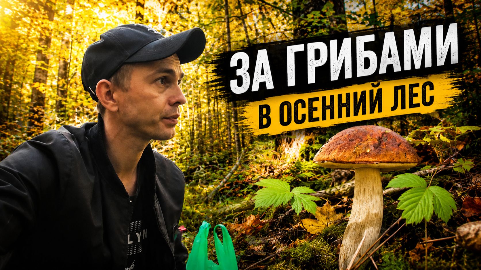 В осенний лес за грибами.красноголовики и рыжики.