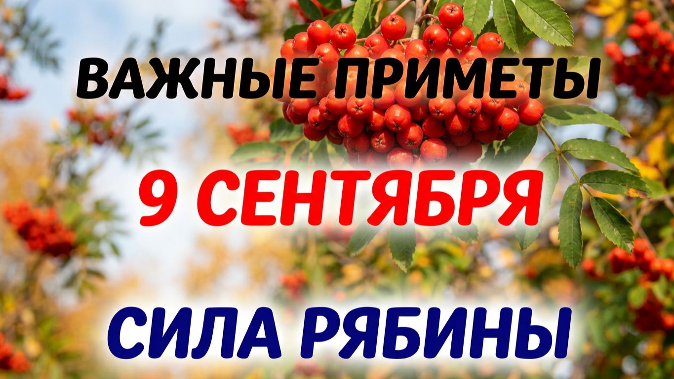 9 сентября. День Анфисы. Почему нельзя делать. Приметы говорят.