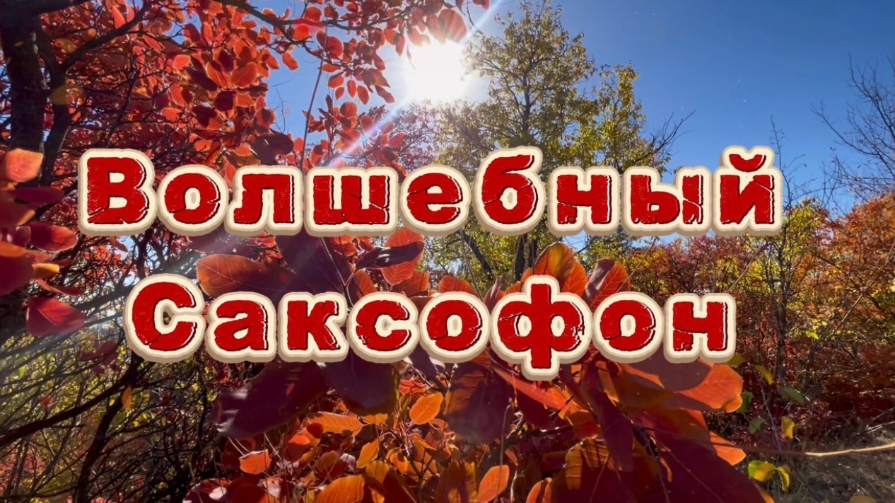 Волшебный  саксофон, удивительно красивая музыка для души