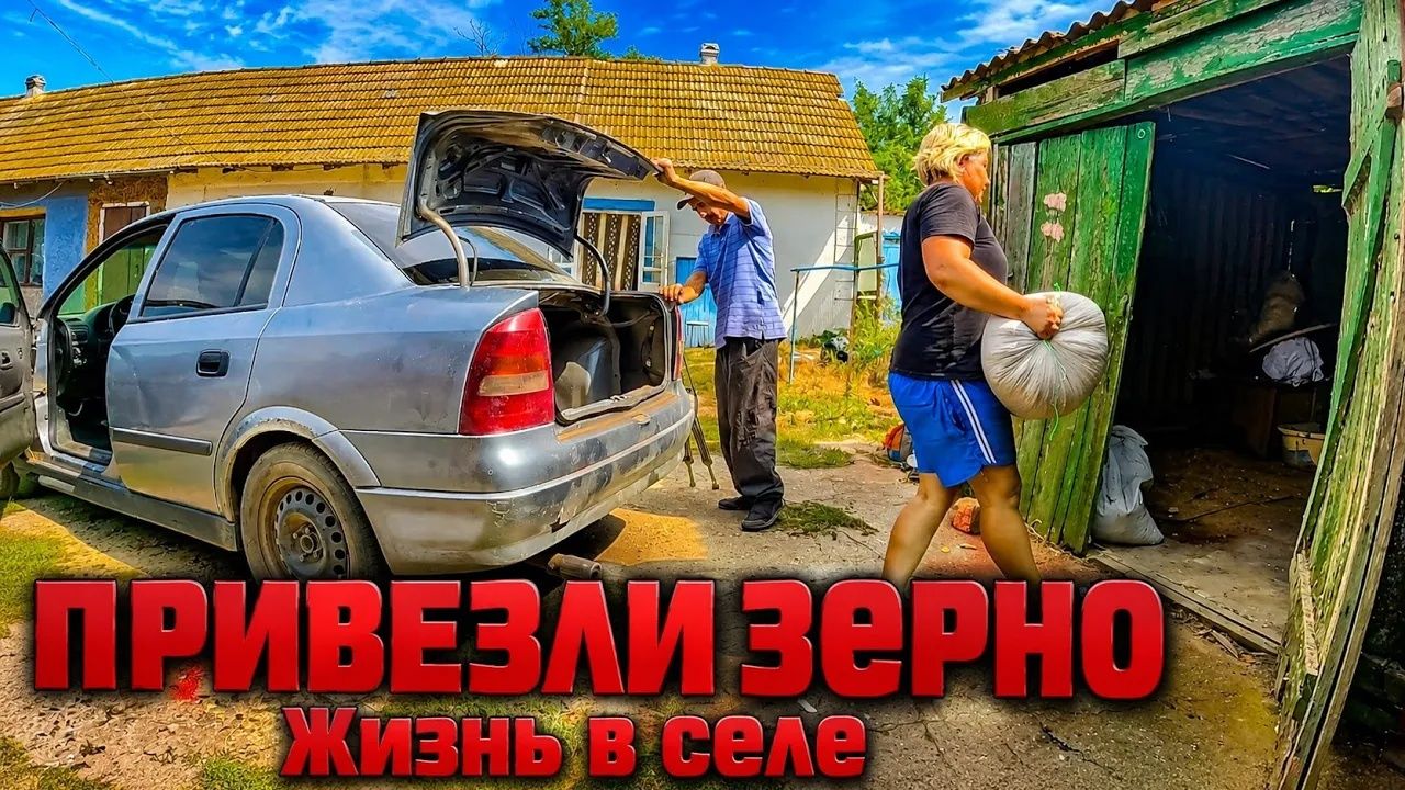 Наталья Губарева. ПРИВЕЗЛИ ЗЕРНО ⧸ ЗАПАС ЗЕРНА НА ЗИМУ ⧸ ЖИЗНЬ В СЕЛЕ 😍 #villagelife