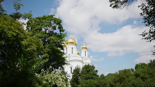 Медиапроект «Питерские выходные» Студсовета СПбГУПТД
