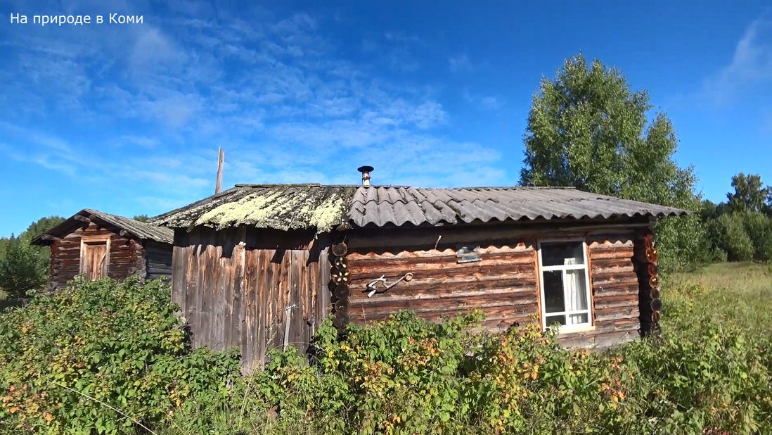 Таёжная изба остался без хозяина. Cобрал мешок грибов за 5 минут. Спасаю свою лодку. 2 серия