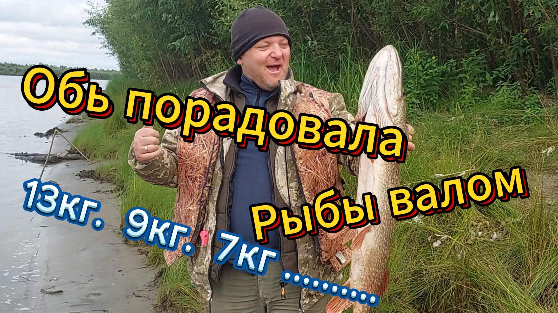Братья Заведеевы
