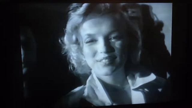 STILL IN LOVE - Billy Forbes