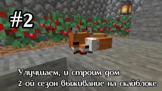 2-ой сезон выживание на Скайблоке