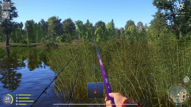 Russian Fishing 4 394 серия  разная рыба