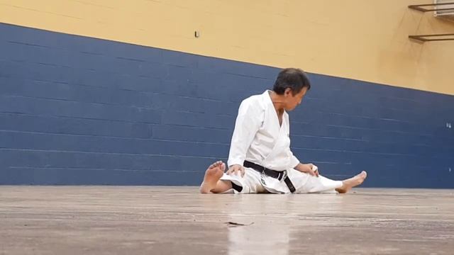 Kawasoe Sensei Stretching Regime December 2018