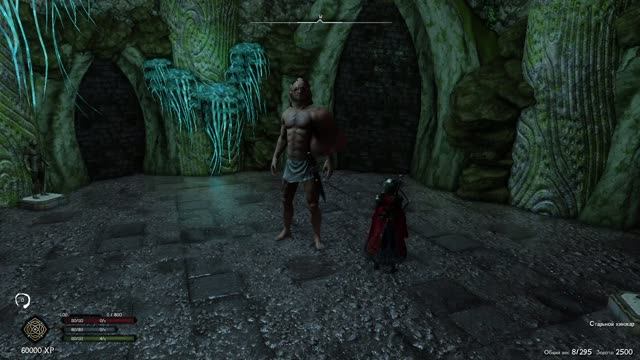 SKYRIM RFAD ОБУЧЕНИЕ