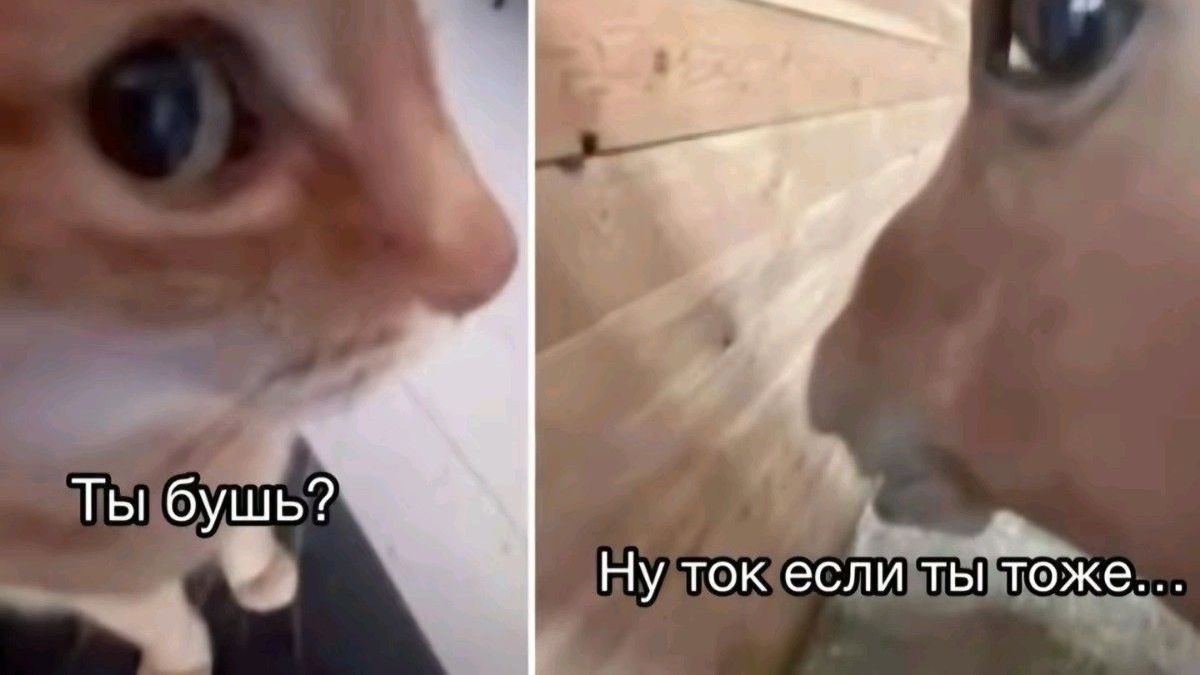 ВАМПИРСКИЙ ВЕДЬМАК! Стрим The Blood Of Dawnwalker — Прохожу шедевр от создателей Ведьмака 3! 🩸⚔️
