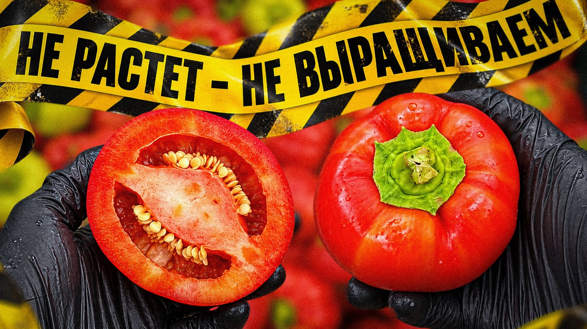 НЕ НУЖНО ИХ ЖАЛЕТЬ