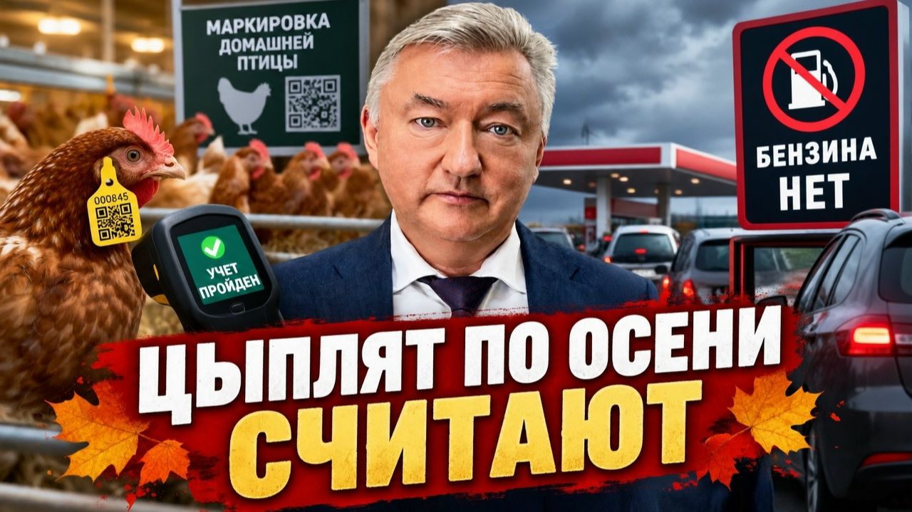 ЦЫПЛЯТ ПО ОСЕНИ СЧИТАЮТ: ЧТО НАМ ГОТОВЯТ? Владимир Боглаев