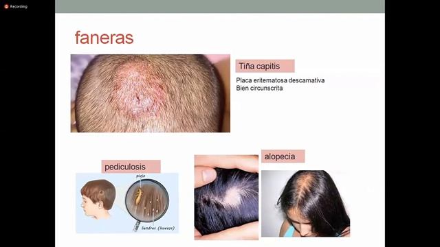 PEDIATRIA I: Semiología Pediátrica - Parte I (1 De Agosto)