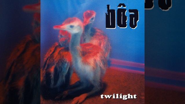 Twilight