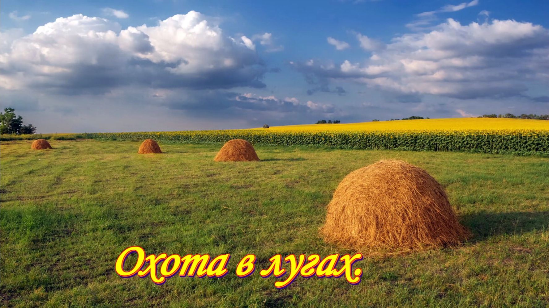 Охота в лугах. Дупель. Легавая