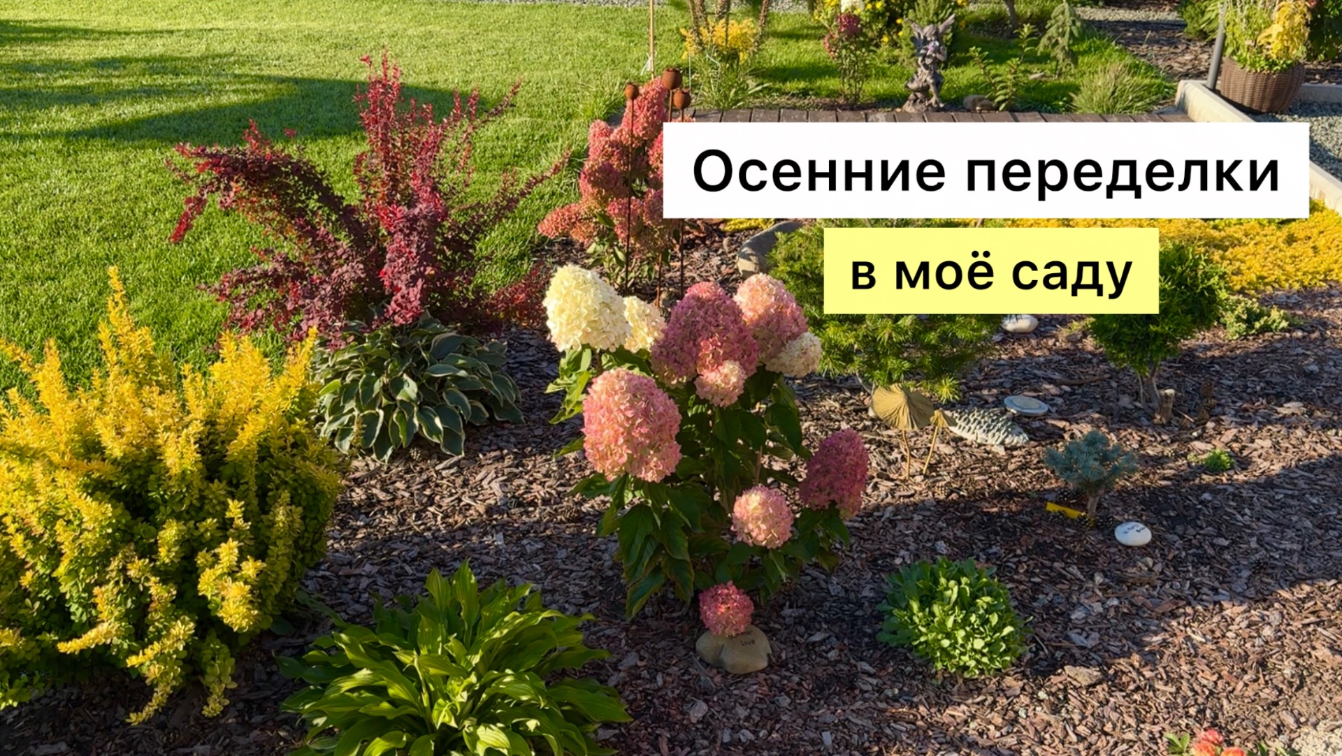 Рабочий ВЛОГ! Первые осенние пересадки!