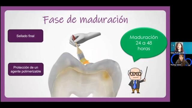 Componentes Y Clasificación Del IONÓMERO DE VIDRIO