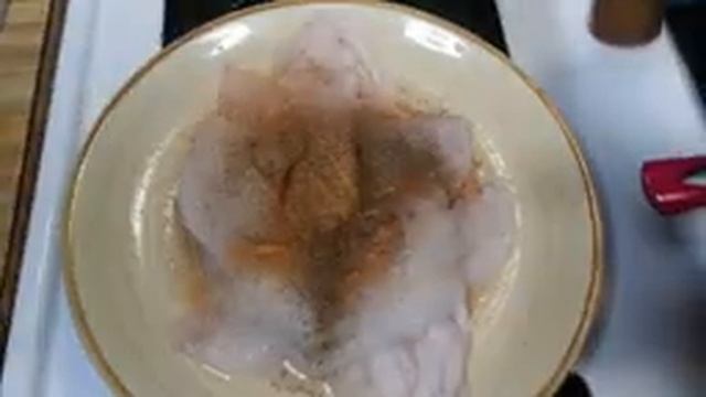 Paprika Cream Sauce With Filet Fish & Lobster Tails And Cheese