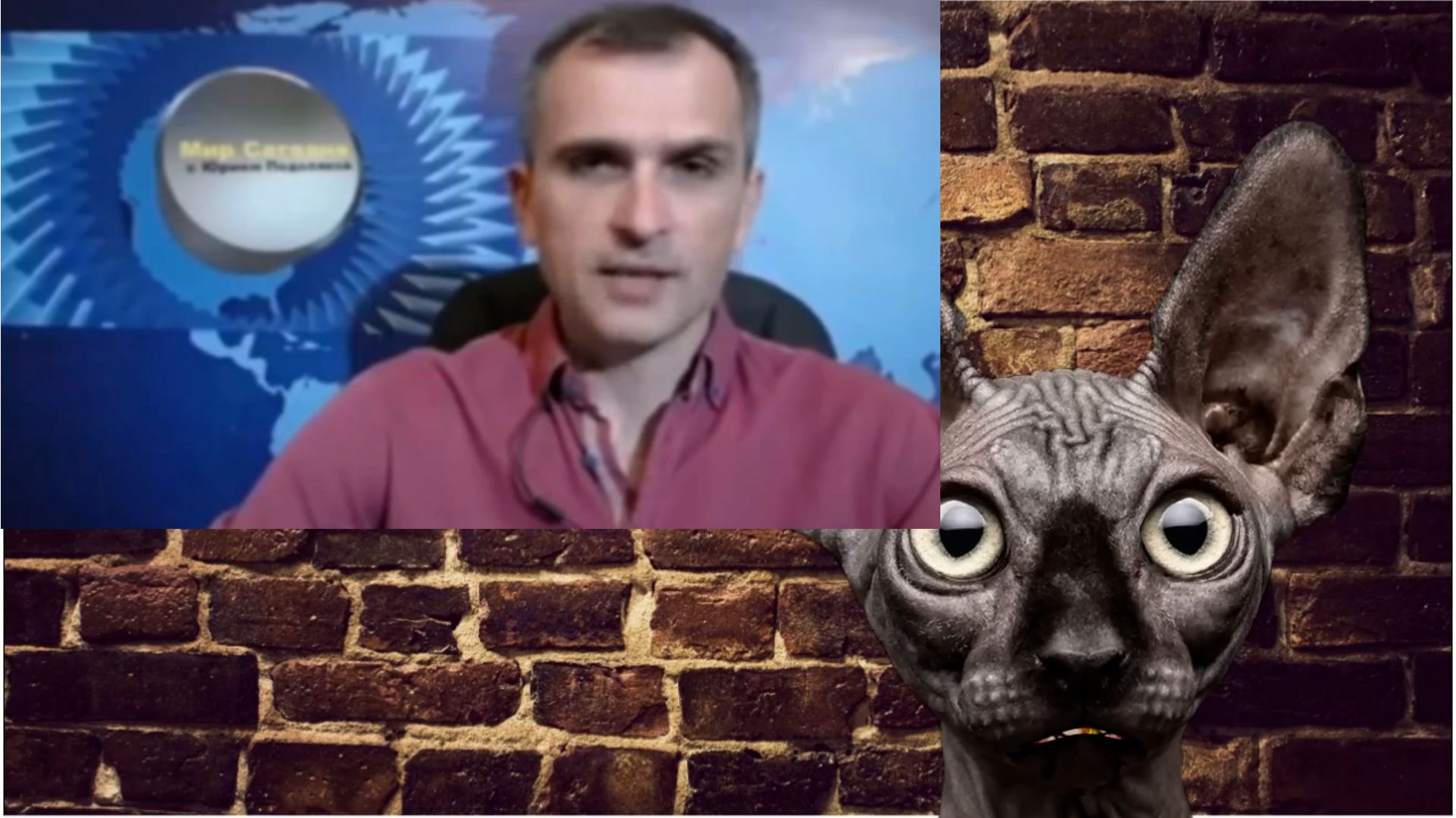 ⁣Буря в Латвии, и еще один вопрос / Кот Костян от 03.09.26