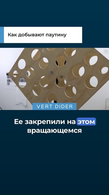 Как добывают паутину