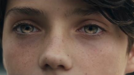 Дети леса (2024) - трейлер