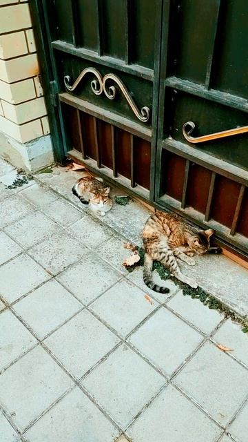 По-английски