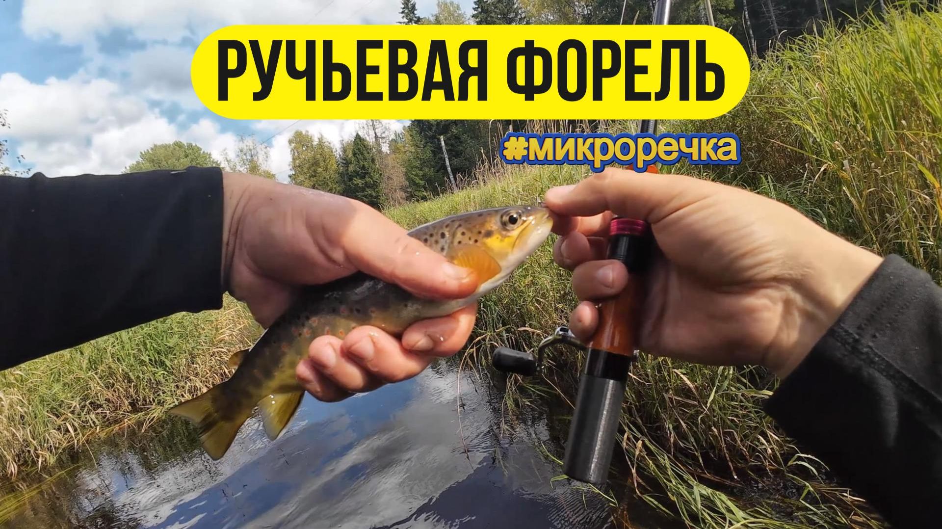 | Форель на микро речке |