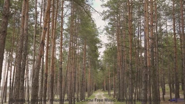 Звуки, используемые для управления реальностью - секретные исследования! - Cant Control The Narrativ