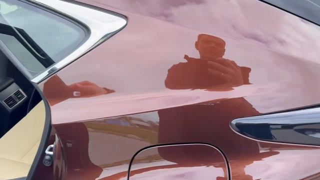 Lexus NX 2019 г.