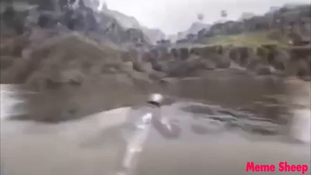 Memes That End In Perfectly Cut Screams