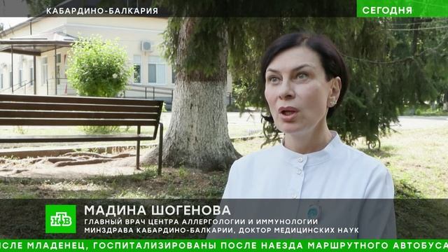 Учёные КБГУ нашли новый способ эффективной борьбы с пыльцой амброзии