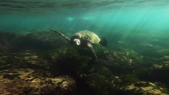 Учим слова на букву С и море с семьёй
