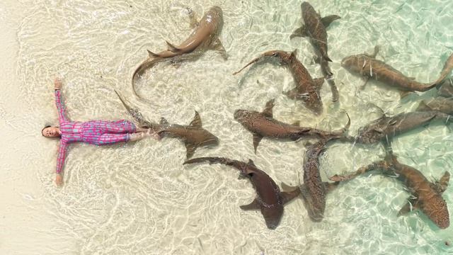Maldives-2026