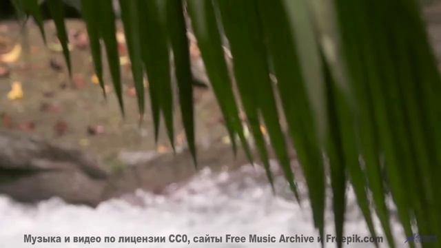 Звуки, очищающие душу - вы не готовы к этому опыту! - Sunday Morning -- Podington Bear -- Haplessly