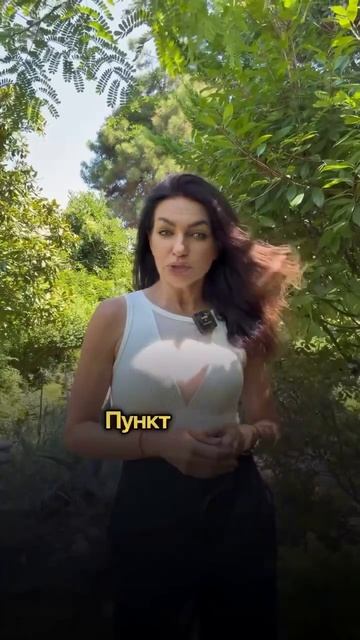 🤓Интересный аспект проблем на рынке внутреннего туризма