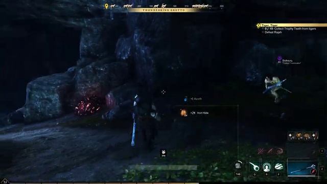 New World Side Quest: Tiger, Tiger