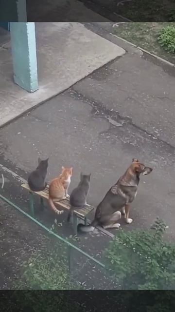 Чего Они Ждут