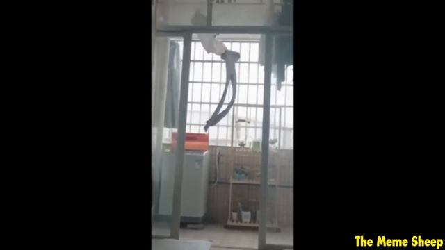 Try Not To Laugh But It Gets FUNNIER Every MINUTE