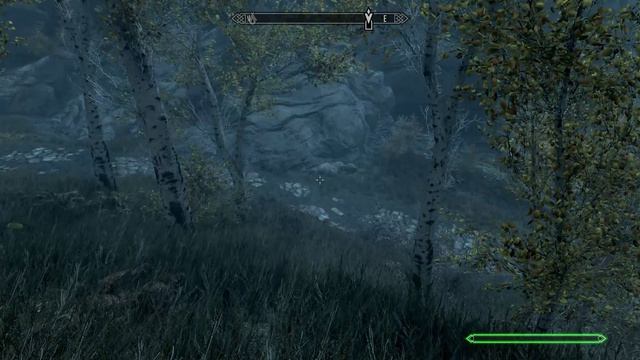 The Elder Scrolls V Skyrim Special Edition - командир Стражи Рассвета, как его найти.