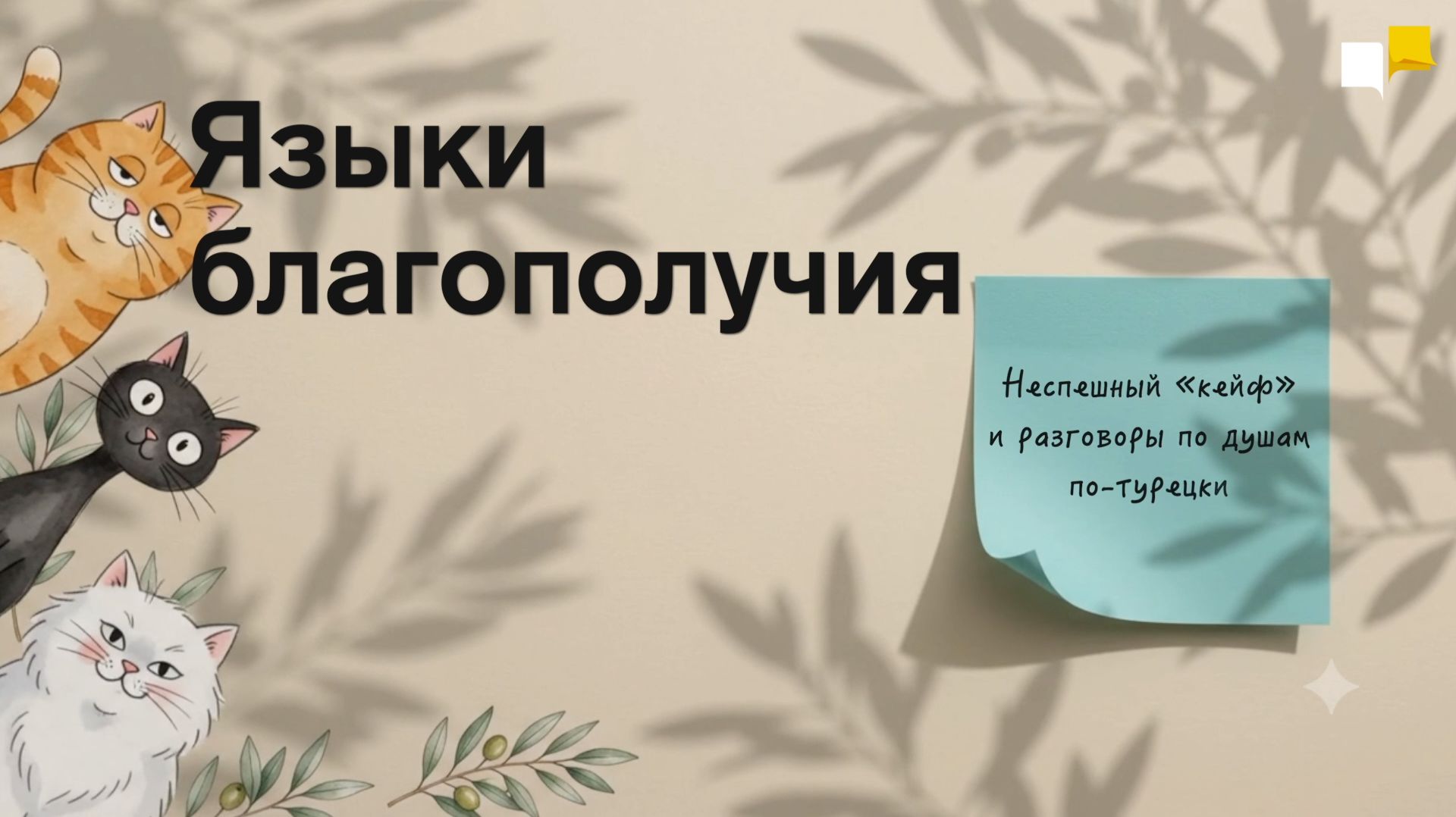 Языки благополучия | Неспешный «кейф» и разговоры по душам по-турецки