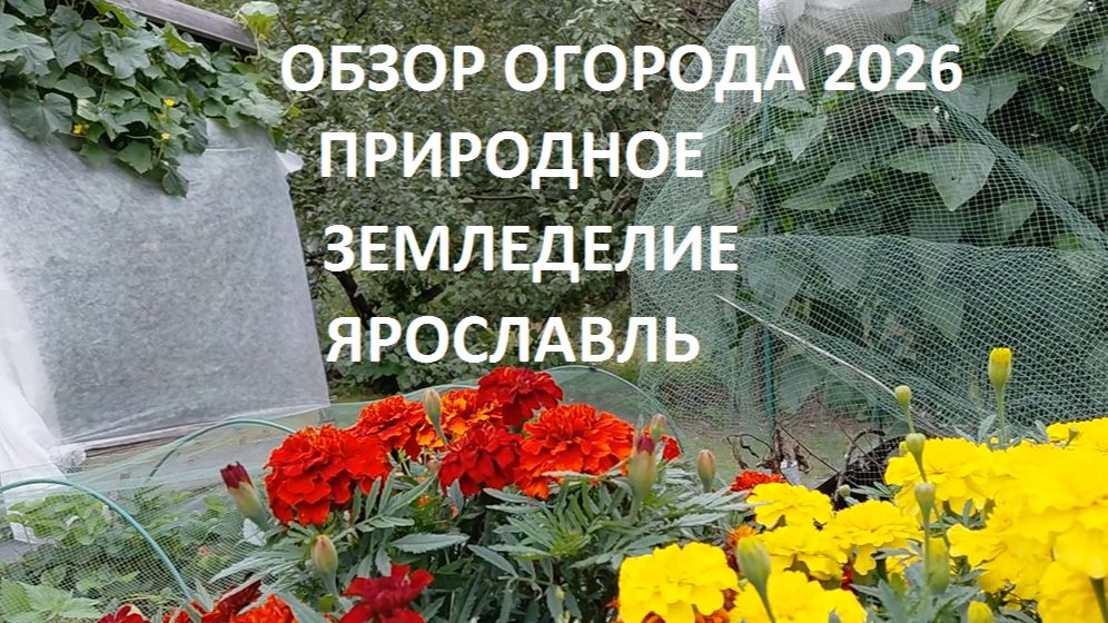 дела садовые